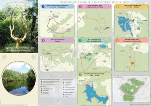 Carte plan touristique Brocéliande , lieux incontournables à visiter , cap carto cartographe